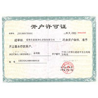 极品美,大鸡巴开户许可证